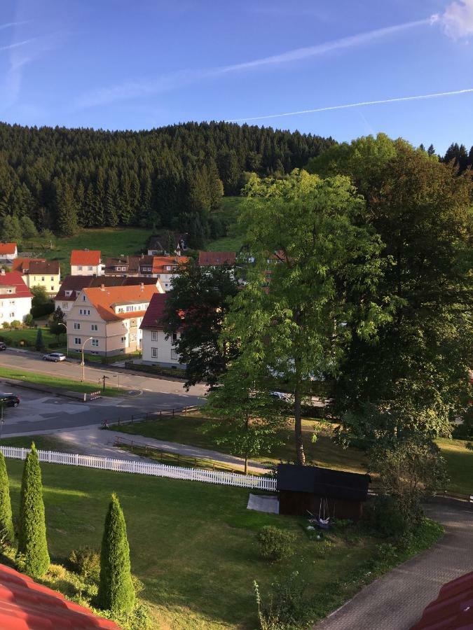 Villa Pusteblume Bad Grund Eksteriør billede