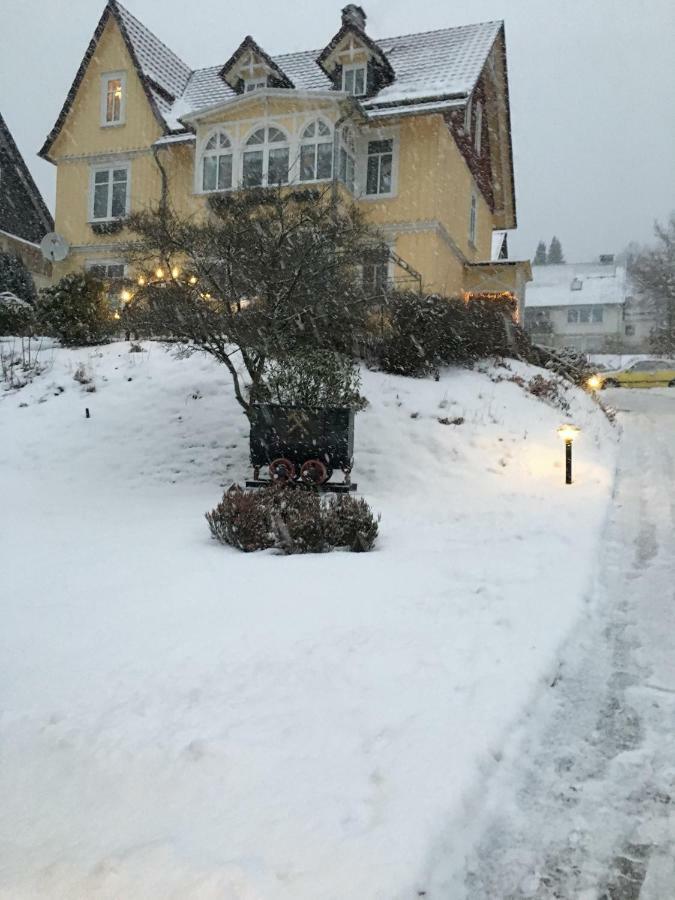 Villa Pusteblume Bad Grund Eksteriør billede